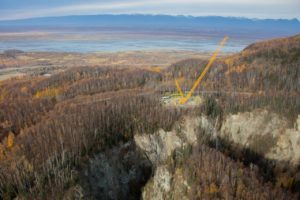 alaska crane